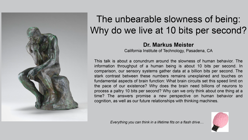 The Unbearable Slowness of Being: Why Do We Live at 10 bits per Second?
